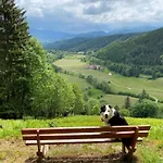 D'hotes Des Cascades St-nicolas Гостевой дом 3*