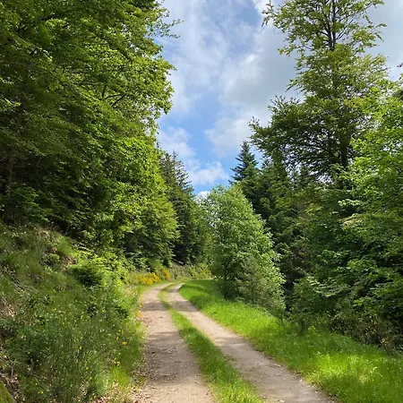 D'hôtes Des Cascades St-nicolas * Kruth