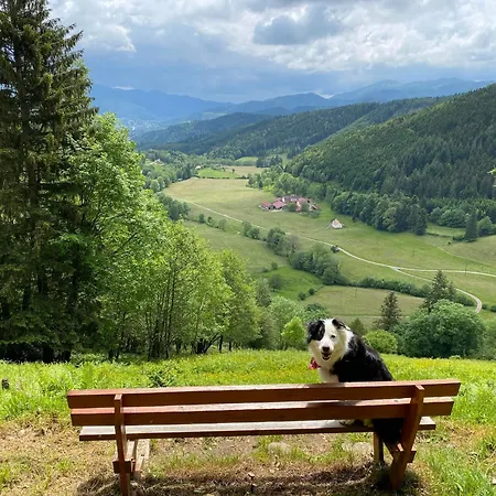 D'hotes Des Cascades St-nicolas Pensjonat 3*