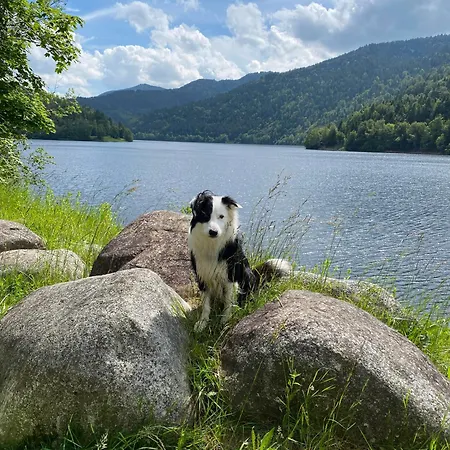 D'hotes Des Cascades St-nicolas Pensjonat 3*