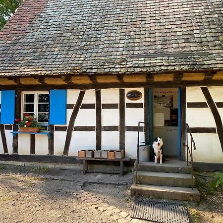 Des Cascades St-nicolas 3* Kruth