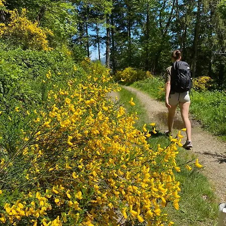 D'hotes Des Cascades St-nicolas Kruth