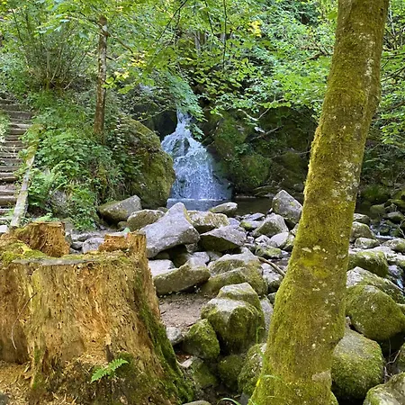 Des Cascades St-nicolas 3*