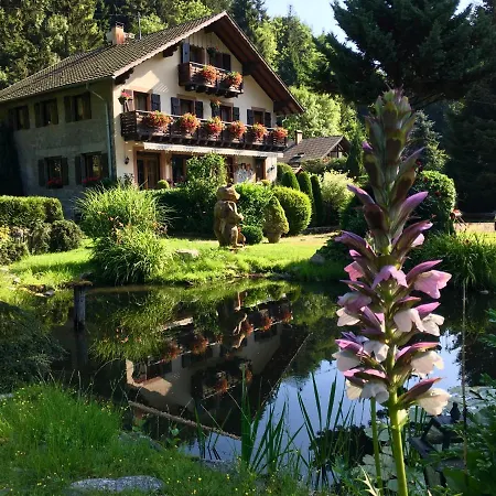 D'hotes Des Cascades St-nicolas Affittacamere Kruth